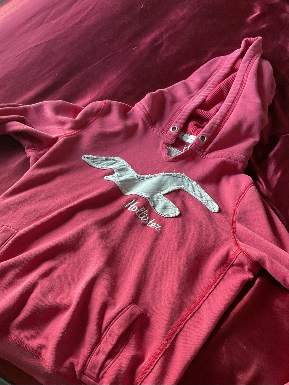 Hollister Coral Pink Seagull Applique Hoodie
